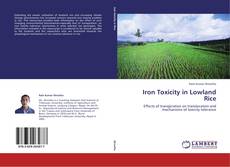 Iron Toxicity in Lowland Rice的封面