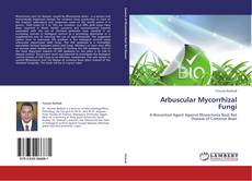 Arbuscular Mycorrhizal Fungi kitap kapağı
