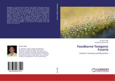 Foodborne Toxigenic Fusaria kitap kapağı