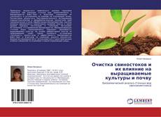 Copertina di Очистка свиностоков и их влияние на выращиваемые культуры и почву