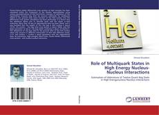 Role of Multiquark States in High Energy Nucleus-Nucleus ‎Interactions的封面