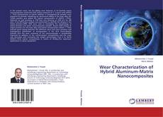 Copertina di Wear Characterization of Hybrid Aluminum-Matrix Nanocomposites