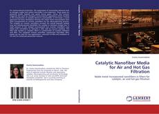 Copertina di Catalytic Nanofiber Media for Air and Hot Gas Filtration