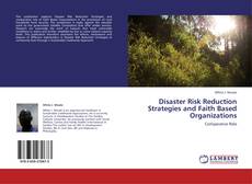 Portada del libro de Disaster Risk Reduction Strategies and Faith Based Organizations