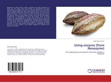 Couverture de Using enzyme (from Novozyme)