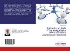 Buchcover von Optimising an Audit Programme using a Network Structure