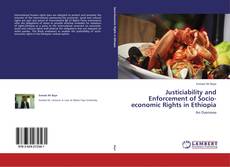 Couverture de Justiciability and Enforcement of Socio-economic Rights in Ethiopia