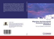Migration And Household Economic Security in Zimbabwe的封面