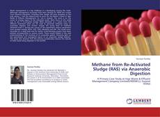 Обложка Methane from Re-Activated Sludge (RAS) via Anaerobic Digestion