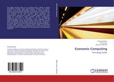Capa do livro de Economic Computing 