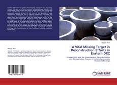 A Vital Missing Target in Reconstruction Efforts in Eastern DRC kitap kapağı