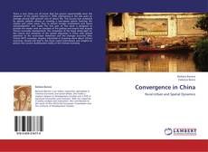 Convergence in China kitap kapağı