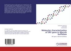 Capa do livro de Molecular characterization of SRY gene in Murrah buffaloes 
