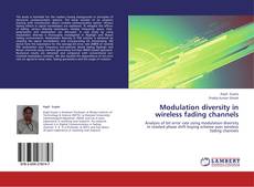 Bookcover of Modulation diversity in wireless fading channels