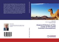 Couverture de Angioarchiitecture of the Lungs of the Camel (camelus dromedarius)
