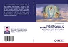 Capa do livro de Biblical Influence on Selected American Novelists 