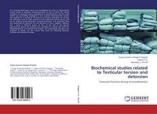Bookcover of Biochemical studies related to Testicular torsion and detorsion