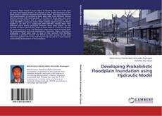 Copertina di Developing Probabilistic Floodplain Inundation using Hydraulic Model