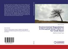 Environmental Degradation & Disrupted Social Fabric in Tar Creek Basin kitap kapağı