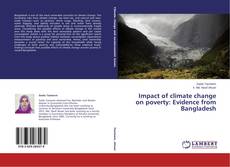 Copertina di Impact of climate change on poverty: Evidence from Bangladesh