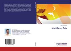 Couverture de Multi-Fuzzy Sets