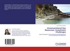 Unconventional Gas Resources: Investment Challenges kitap kapağı