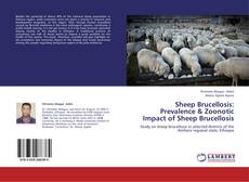 Capa do livro de Sheep Brucellosis: Prevalence & Zoonotic Impact of Sheep Brucellosis 
