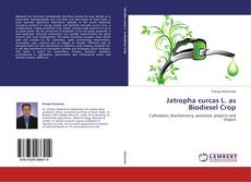 Capa do livro de Jatropha curcas L. as Biodiesel Crop 