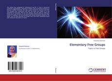 Elementary Free Groups kitap kapağı