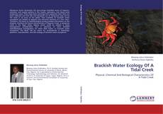 Brackish Water Ecology Of A Tidal Creek kitap kapağı