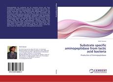 Substrate specific aminopeptidase from lactic acid bacteria kitap kapağı