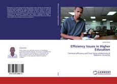 Copertina di Efficiency Issues in Higher Education