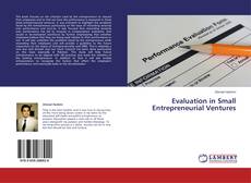 Capa do livro de Evaluation in Small Entrepreneurial Ventures 