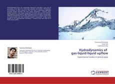 Copertina di Hydrodynamics of   gas-liquid-liquid  upflow