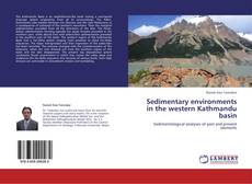 Buchcover von Sedimentary environments in the western Kathmandu basin