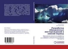 Buchcover von Разработка обводненных месторождений в зимний период