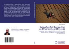 Subsurface Soil Compaction and Improvement Strategies kitap kapağı