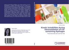 Bookcover of Kinetic Instabilities during Electroxidation of CO-containing Hydrogen