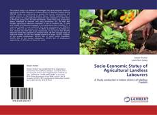 Bookcover of Socio-Economic Status of Agricultural Landless Labourers