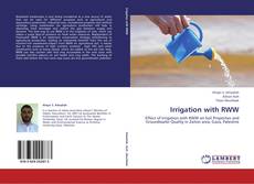 Buchcover von Irrigation with RWW