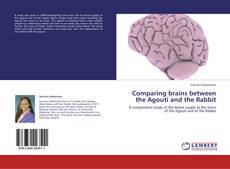 Buchcover von Comparing brains between the Agouti and the Rabbit