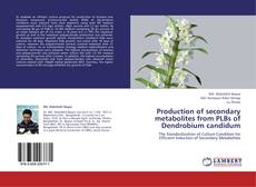 Bookcover of Production of secondary metabolites from PLBs of Dendrobium candidum