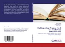 Making micro-finance work for rural micro entrepreneurs kitap kapağı