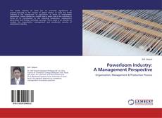 Buchcover von Powerloom Industry:  A Management Perspective