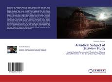 Buchcover von A Radical Subject of Zizekian Study