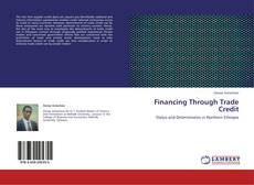 Buchcover von Financing Through Trade Credit