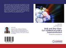 Buchcover von Bulk and Thin Films   Cu1-xTlxBa2CaCu208-y Superconductors