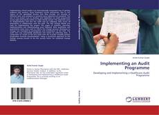 Capa do livro de Implementing an Audit Programme 