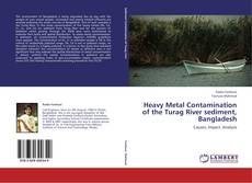 Portada del libro de Heavy Metal Contamination of the Turag River sediment, Bangladesh