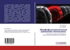 Buchcover von Морфофункциональные изменения гиппокампа